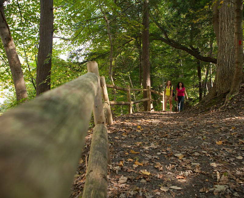 Students walking on a trail