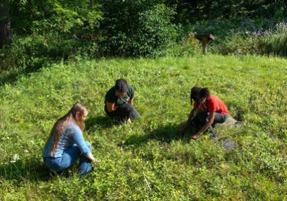 Young people in native grass lawn