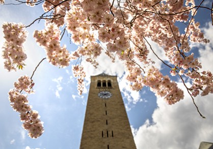 View of a clocktower