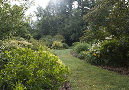 entrance to the shrub garden