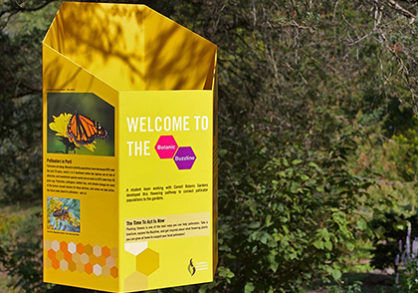Buzzline Brochure and Signs