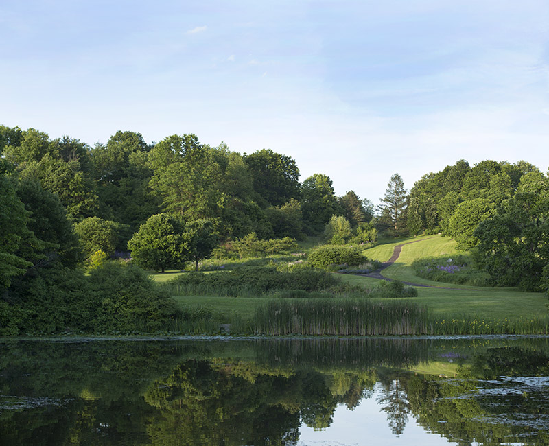 Golden Hour at the F. R. Newman Arboretum.