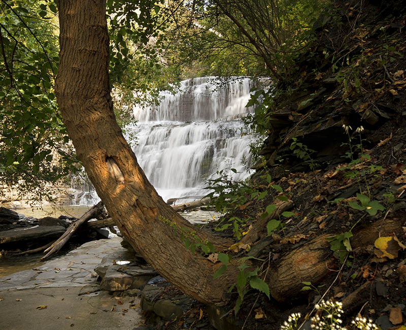 Waterfall in Cascadilla Gorge