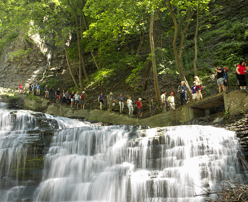 2017 Reunion Weekend: Alumni on a tour of Cascadilla Gorge.