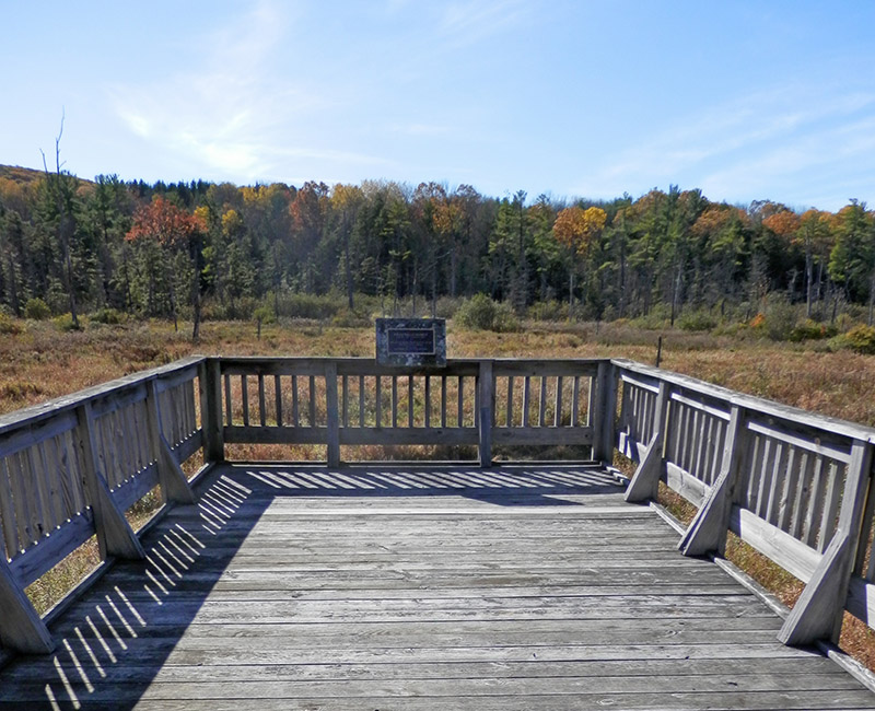 Ellis Hollow Wetlands