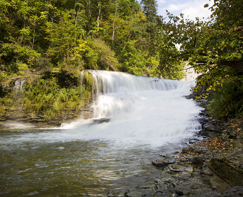Cascadilla and Fall Creek gorges in summer.