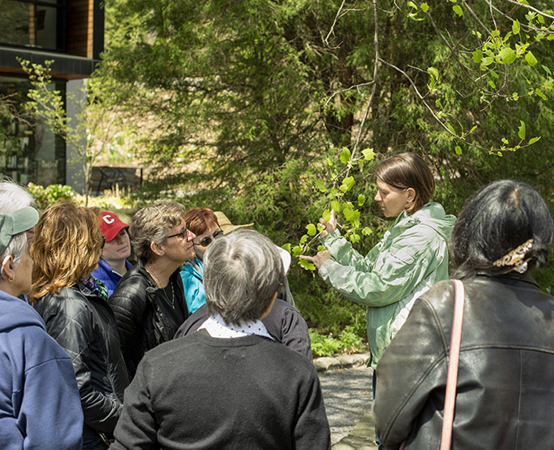 F. R. Newman Arboretum