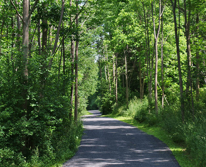 lr_upper_cass_trails