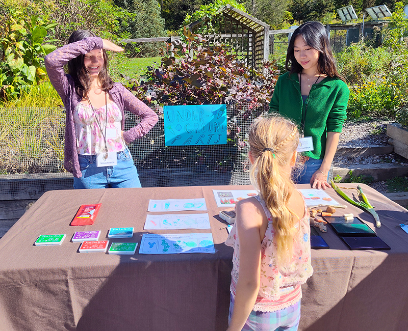 LR_youth.education.team