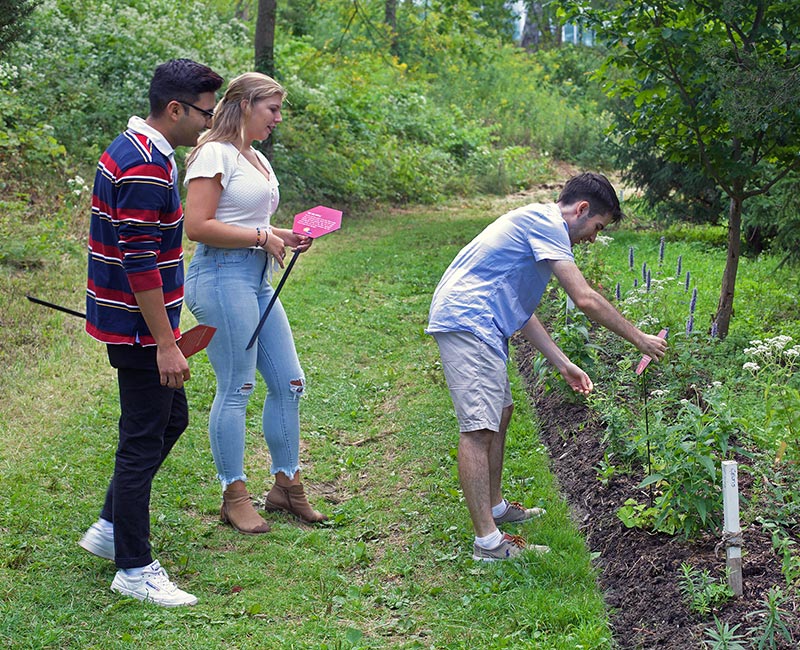 Three students placing garden signs in a flower garden