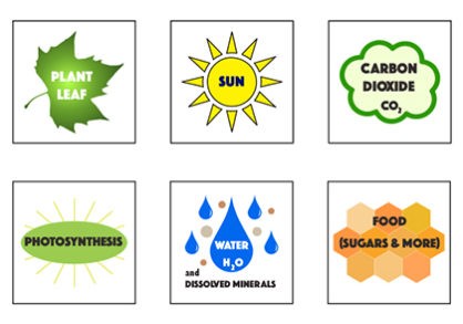 3_up.for_.web_-418x293