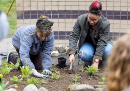 Two people planting a garden.