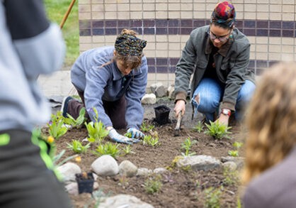 People planting trees