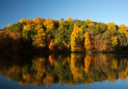 trees with yellow and red leaves by a lake