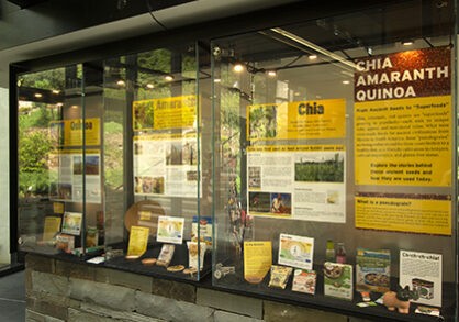 Chia, Amaranth, and Quinoa