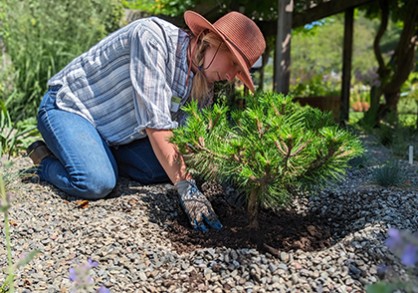 Woman planting in the garden