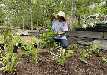 student planting a garden