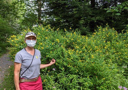 3up_krissy_wf-418x293