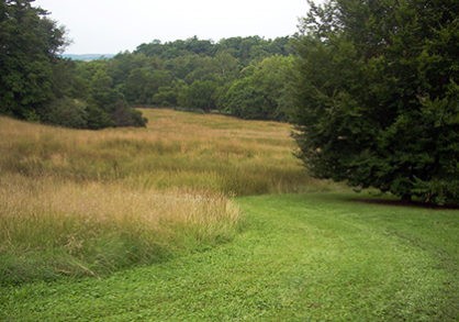 3up_newman_meadow2-418x293