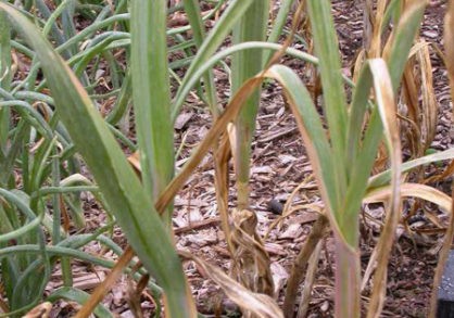 7530_B403-0622040-418x293