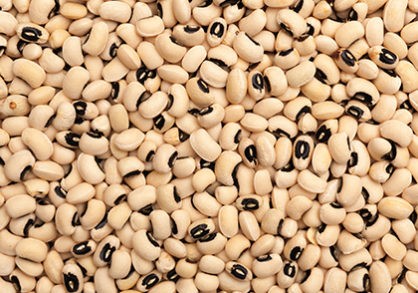 Black Eyed Peas
