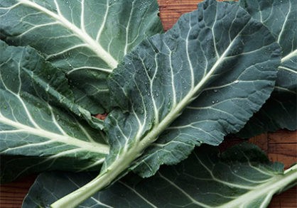 collard