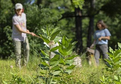 insect.collection.Jason_.Koski
