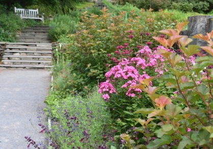 Plants-of-the-Americas-418x293