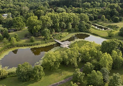 Aerial view of trees and a bridge.