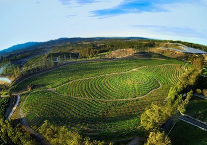 Aerial view of a large garden