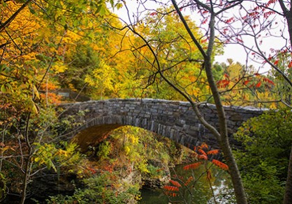 stone bridge over creek in woods in fall